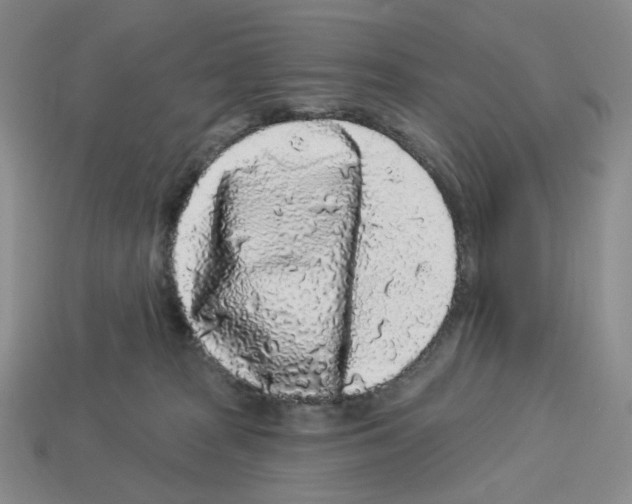 X0000112890277200910021420