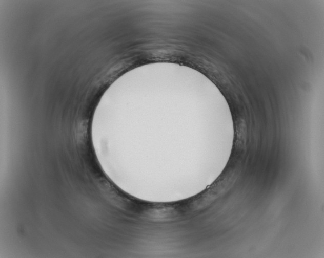 X0000112890278200910021420