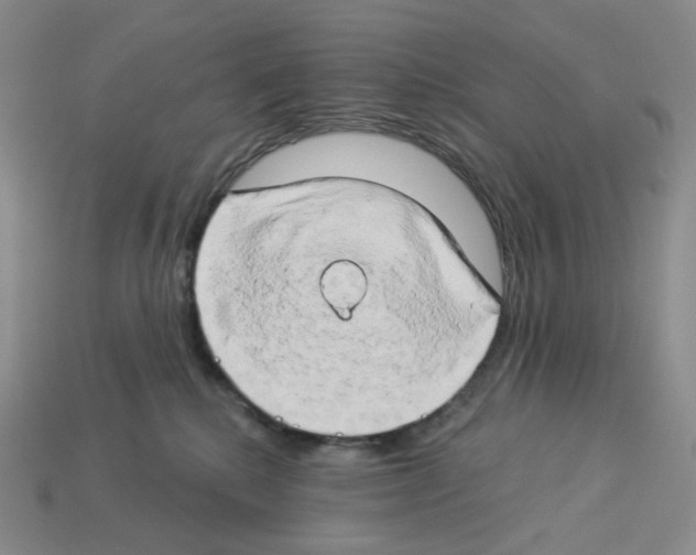 X0000112890280200910021420