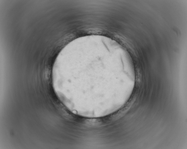 X0000112890281200910021420