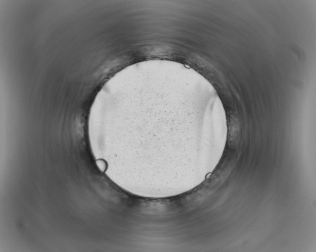 X0000112890282200910021420