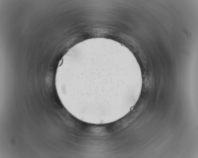 X0000112890283200910021420