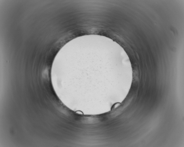 X0000112890286200910021420