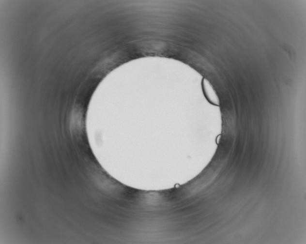 X0000112890287200910021420