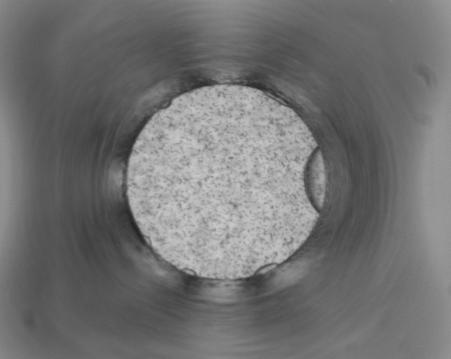 X0000112890288200910021420