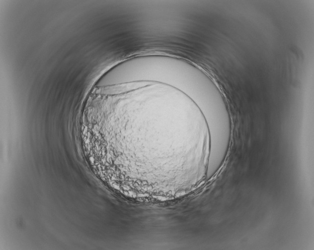 X0000112890289200910021420