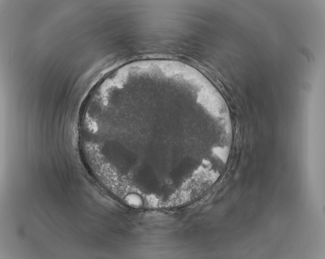 X0000112890290200910021420