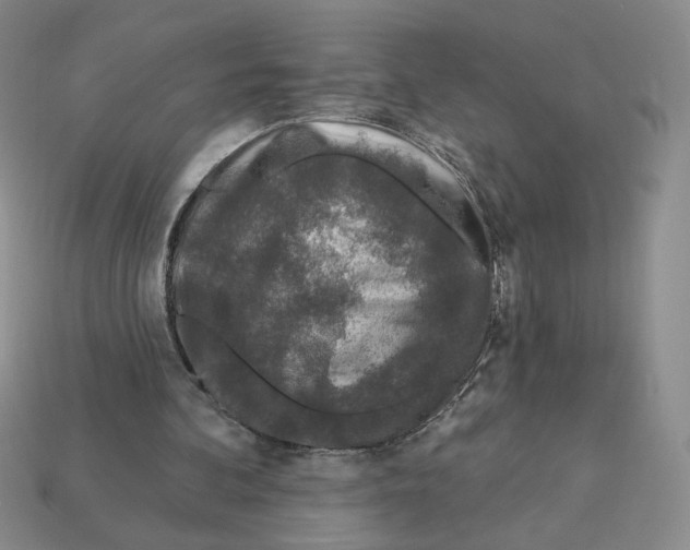 X0000112890292200910021420