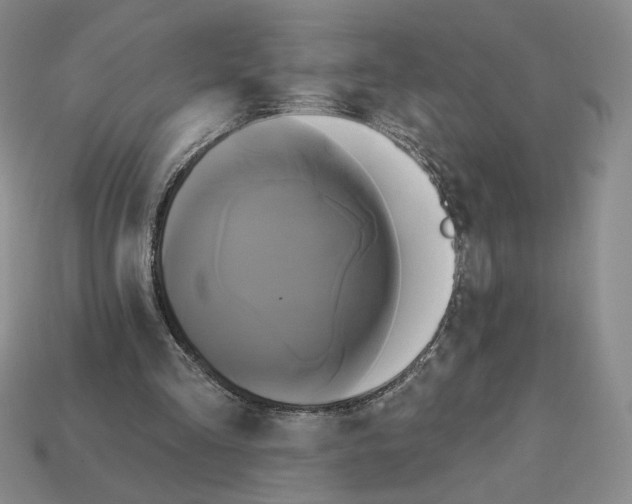 X0000112890293200910021420