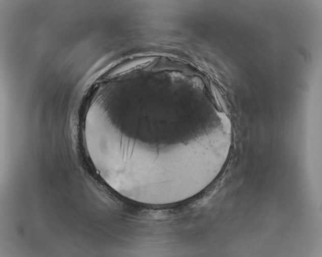 X0000112890295200910021420