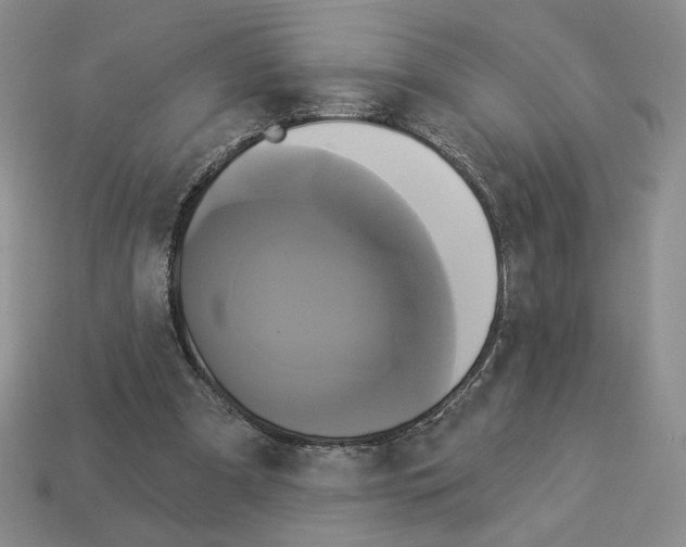X0000112890297200910021420
