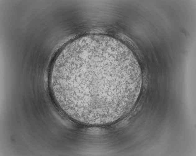 X0000112890298200910021420