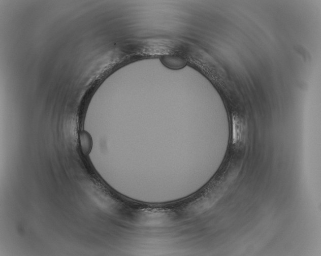 X0000112890300200910021420