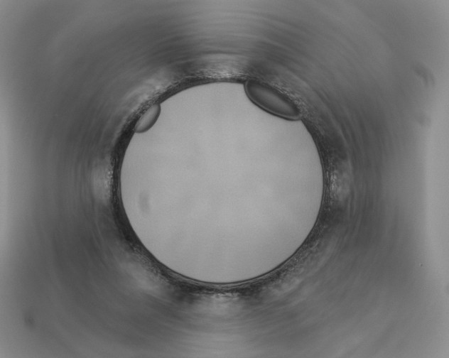 X0000112890304200910021420