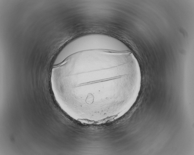 X0000112890305200910021420