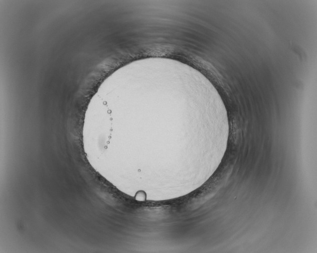 X0000112890307200910021420