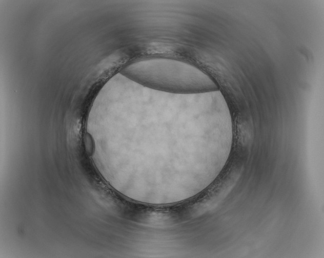 X0000112890308200910021420