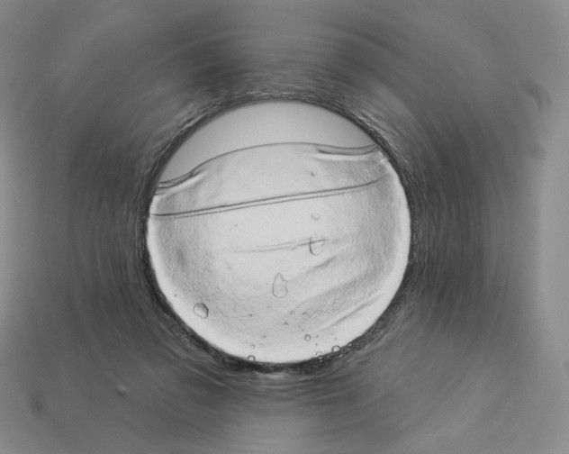 X0000112890309200910021420