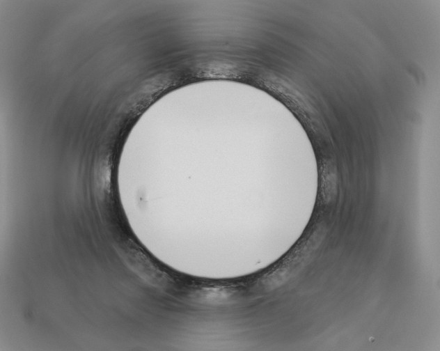 X0000112890310200910021420