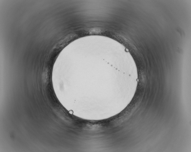 X0000112890311200910021420