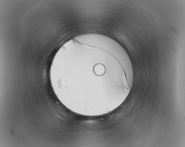 X0000112890312200910021419