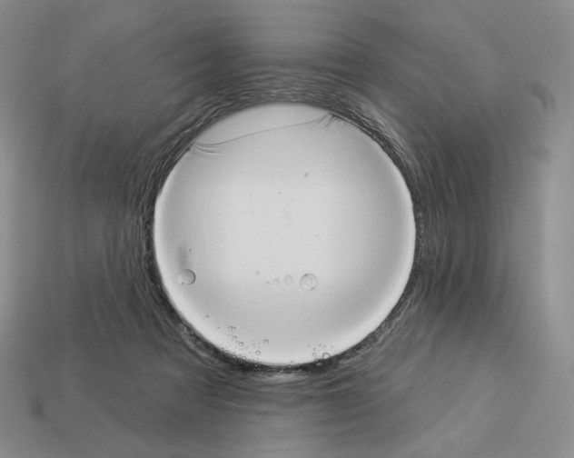 X0000112890313200910021419