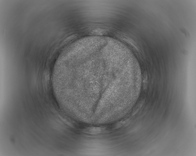 X0000112890314200910021419