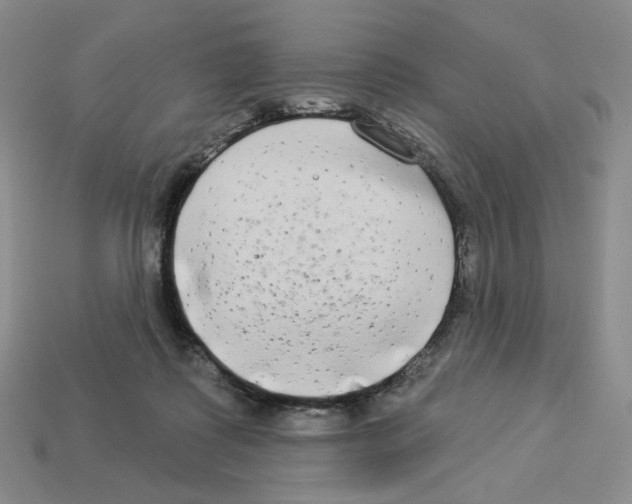 X0000112890315200910021419
