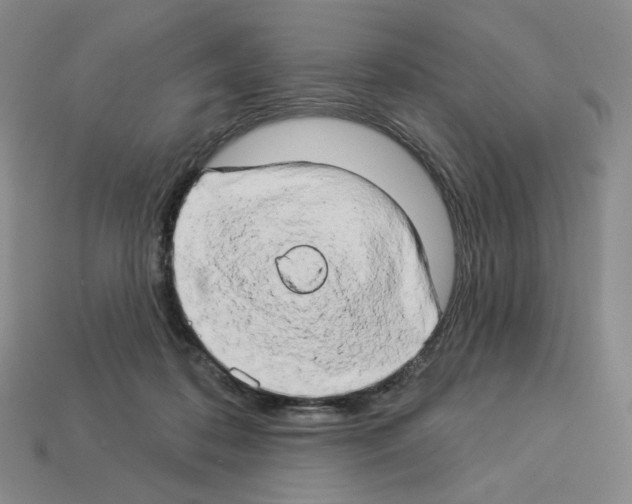X0000112890316200910021419