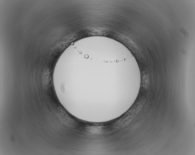 X0000112890318200910021419