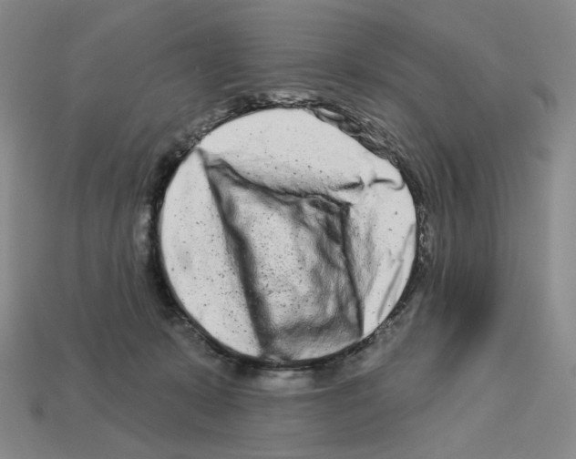 X0000112890319200910021419