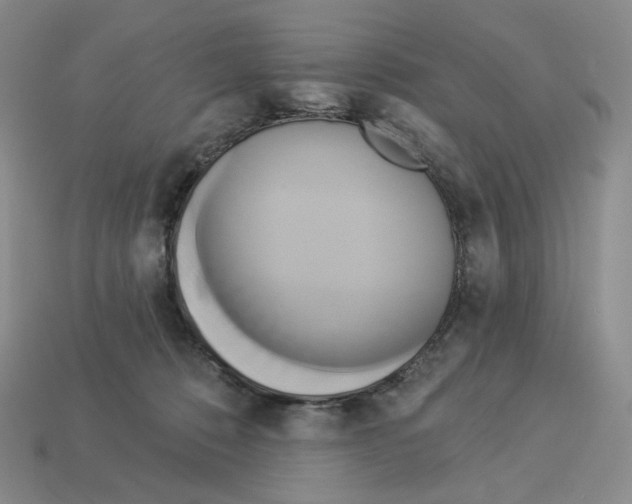 X0000112890320200910021419