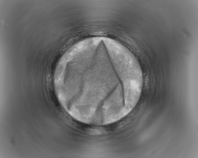 X0000112890322200910021419