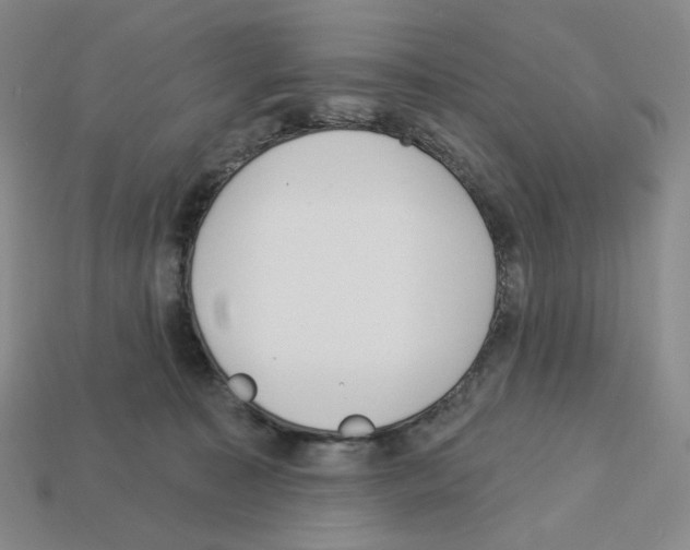 X0000112890323200910021419