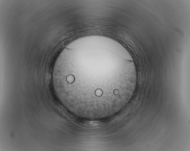 X0000112890324200910021419