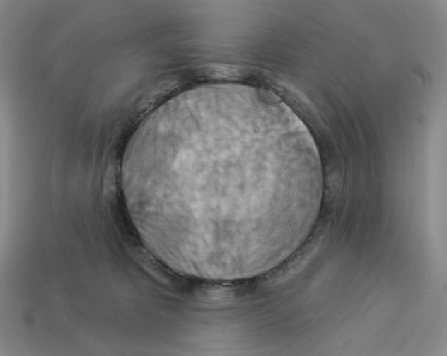 X0000112890325200910021419