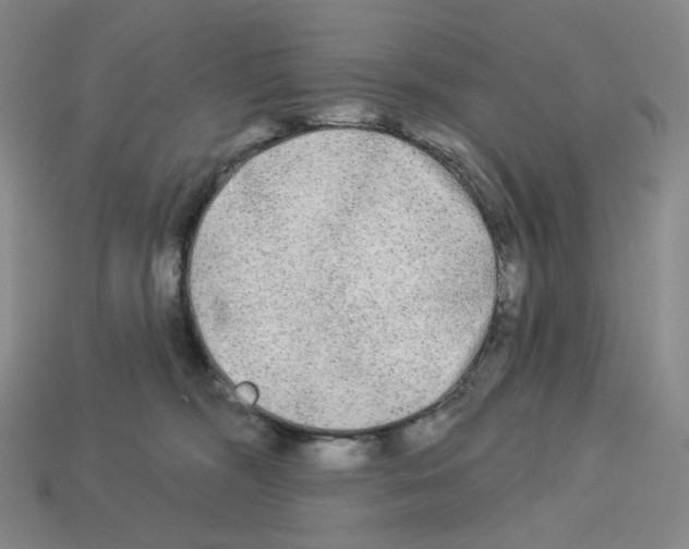 X0000112890326200910021419