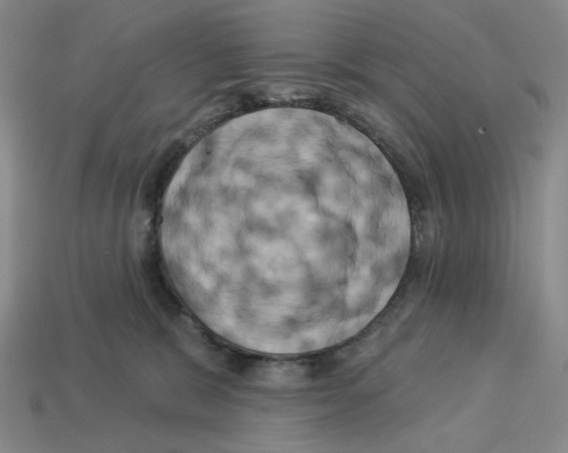 X0000112890327200910021419