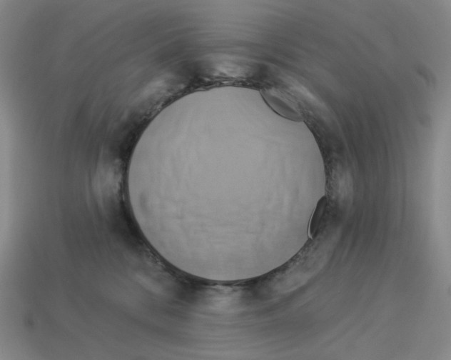 X0000112890328200910021419