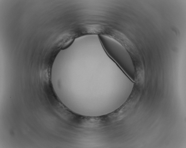 X0000112890329200910021419
