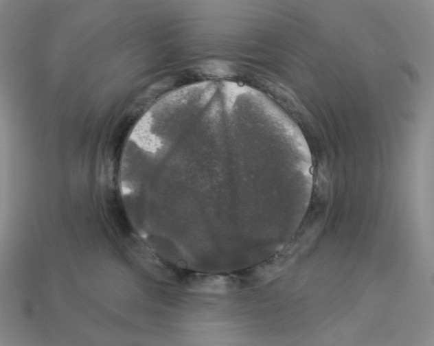 X0000112890330200910021419