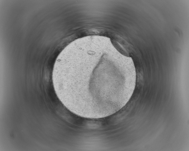 X0000112890331200910021419