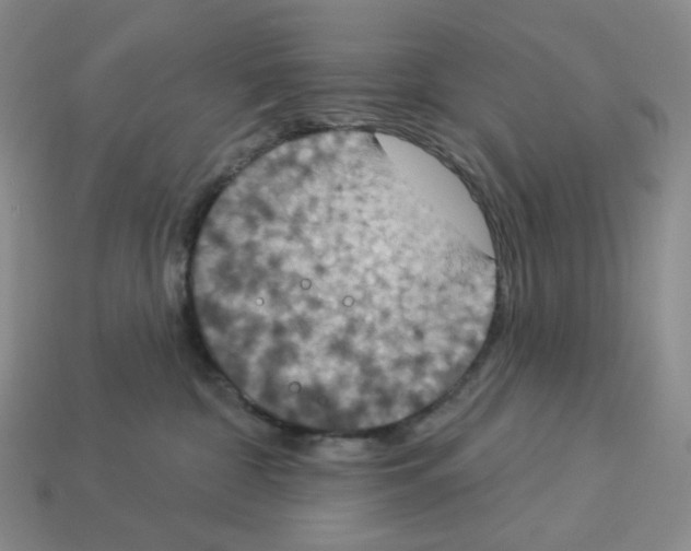 X0000112890332200910021419