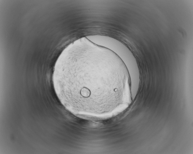 X0000112890333200910021419