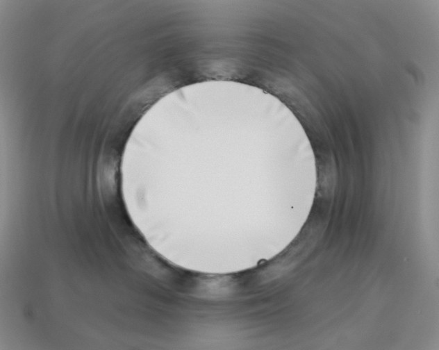X0000112890334200910021419