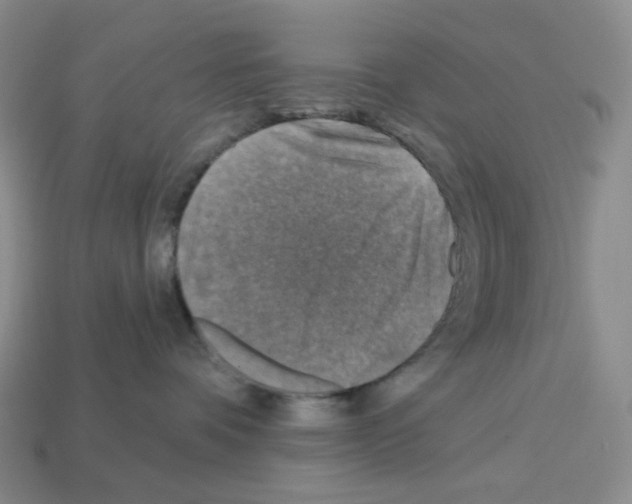 X0000112890336200910021419