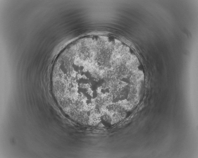 X0000112890337200910021419