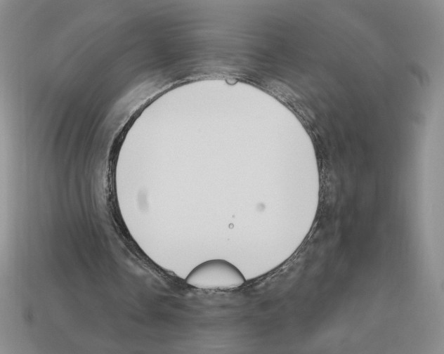 X0000112890338200910021419