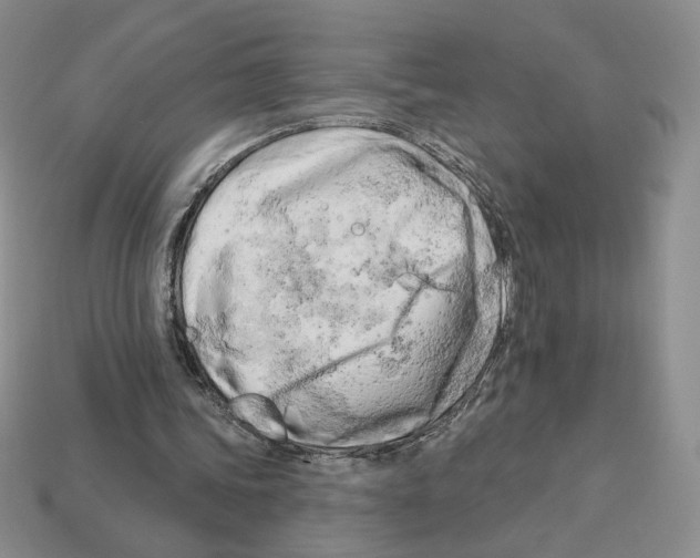 X0000112890339200910021419