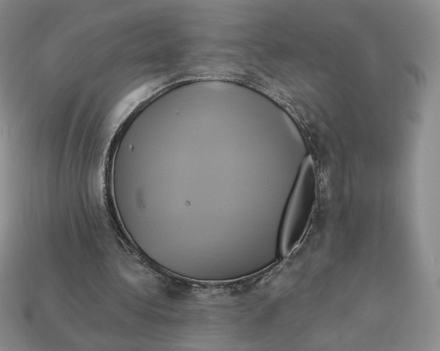 X0000112890340200910021419